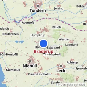 Kartenvorschau Braderup
