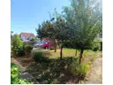 Sonniger Garten
