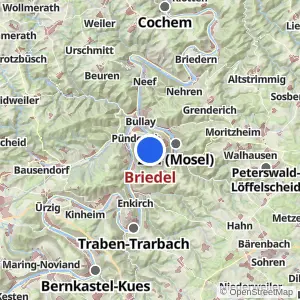 Kartenvorschau Briedel