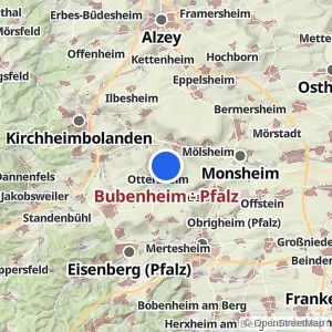Kartenvorschau Bubenheim - Pfalz