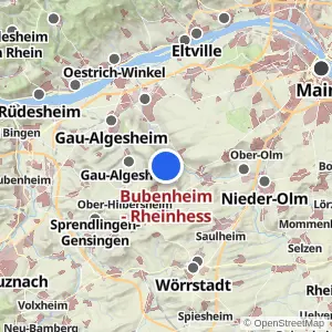 Kartenvorschau Bubenheim - Rheinhess