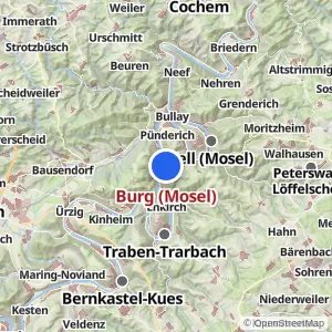 Kartenvorschau Burg (Mosel)