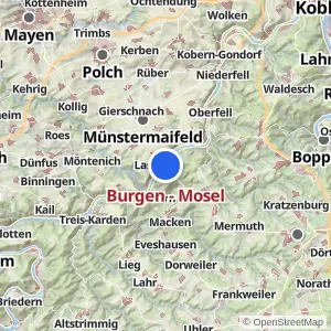 Kartenvorschau Burgen - Mosel