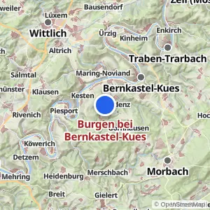 Kartenvorschau Burgen bei Bernkastel-Kues