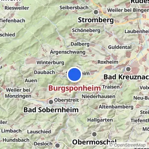 Kartenvorschau Burgsponheim