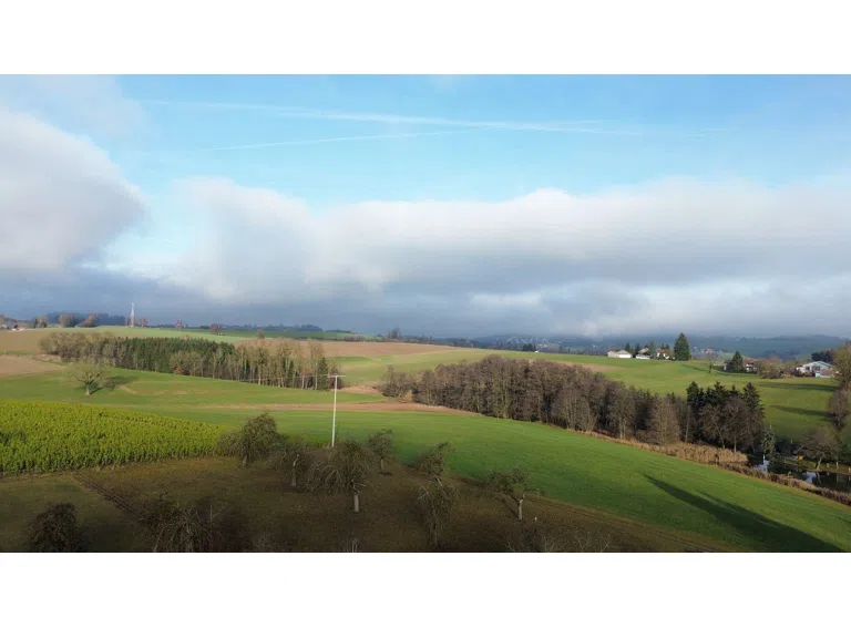 Luftbild Umgebung
