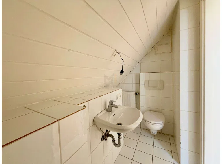 WC DG