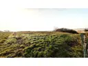 hinten I