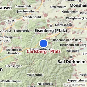 Kartenvorschau Carlsberg - Pfalz
