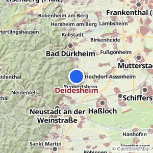 Kartenvorschau Deidesheim