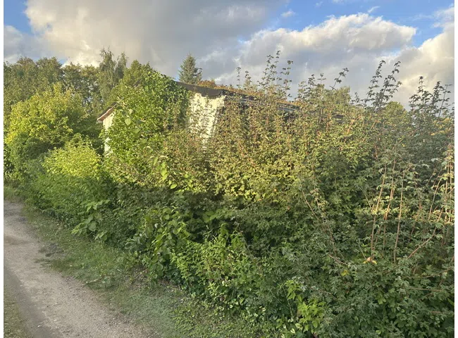 Umgebung