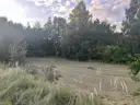 Umgebung