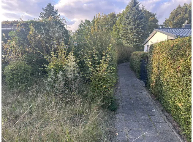 Umgebung