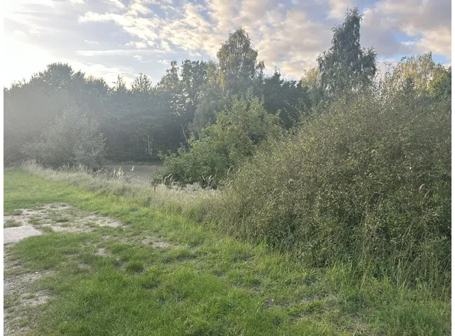 Umgebung