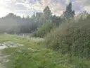 Umgebung