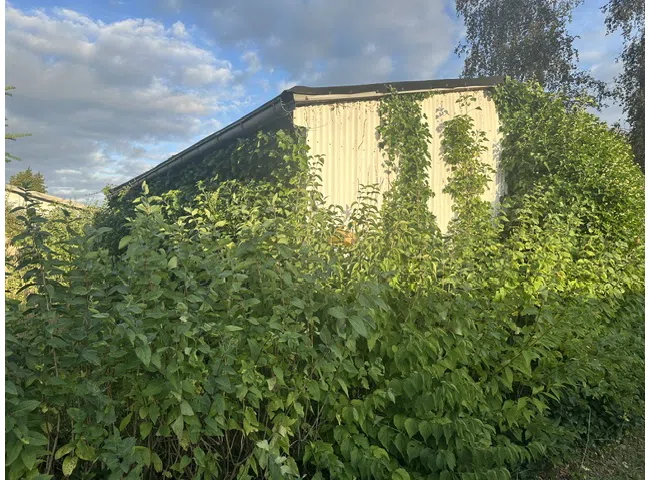 Seitenansicht-vorher