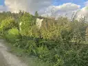 Umgebung
