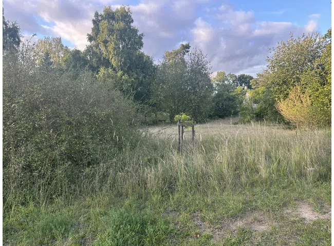 Umgebung