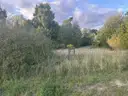 Umgebung