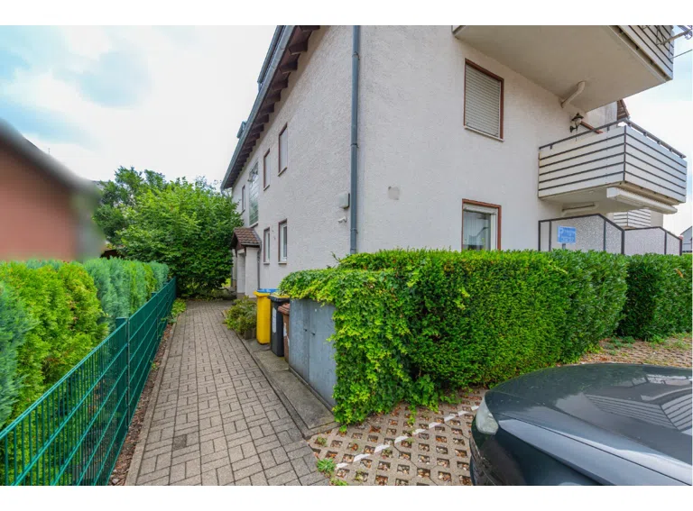Weg zum Eingang + Garten