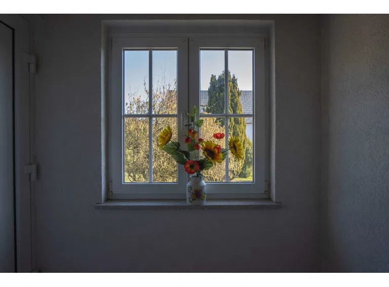 Blick in den Garten