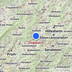 Kartenvorschau Duppach