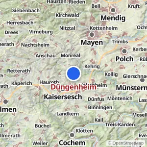 Kartenvorschau Düngenheim