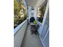 Balkon 1