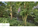 Umgebung, 3-Zimmer-Wohnung mit Loggia zum Kauf in Düsseltal Zoo, Frank Ewe Immobilien