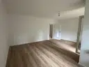 WZ1