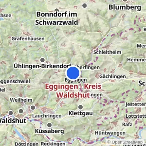Kartenvorschau Eggingen - Kreis Waldshut