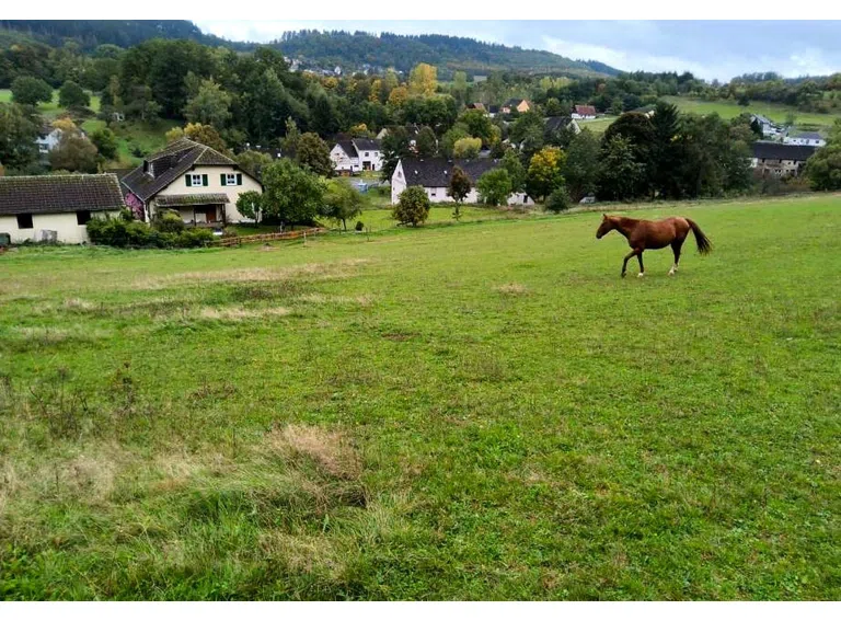 Außenansicht mit Weide