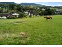 Außenansicht mit Weide