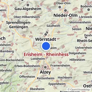 Kartenvorschau Ensheim - Rheinhess