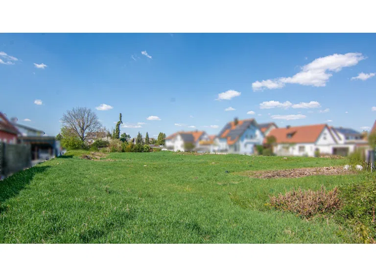 Blick nach Norden