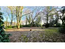 Garten 5