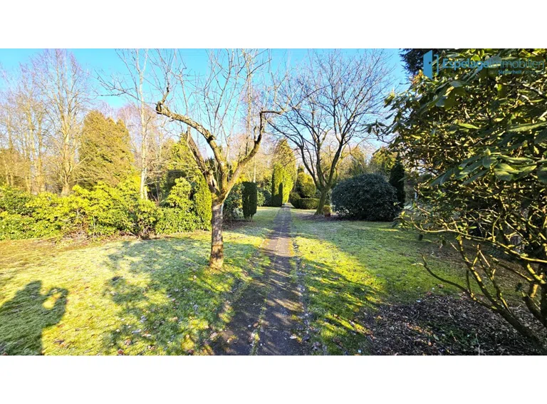 Garten 1