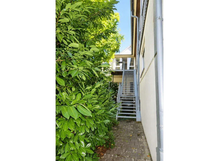 Treppe in den Garten 1