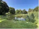 Teich