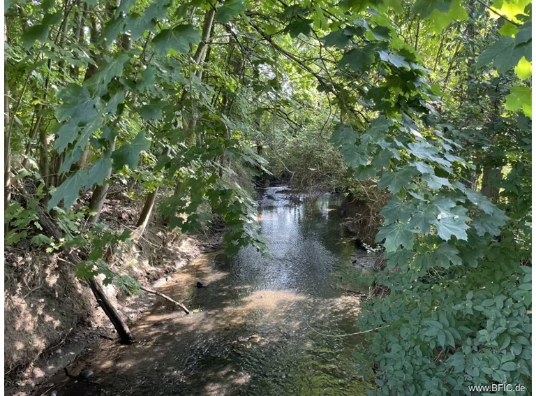 Mühlenbach