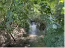 Mühlenbach