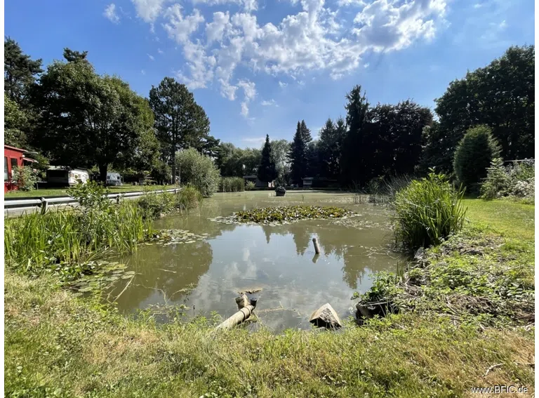 Teich