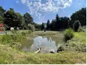Teich