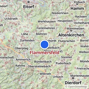 Kartenvorschau Flammersfeld