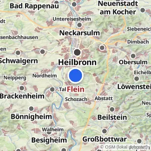 Kartenvorschau Flein