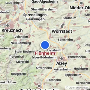 Kartenvorschau Flonheim