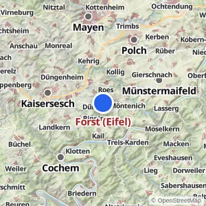 Kartenvorschau Forst (Eifel)