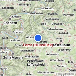 Kartenvorschau Forst (Hunsrück)