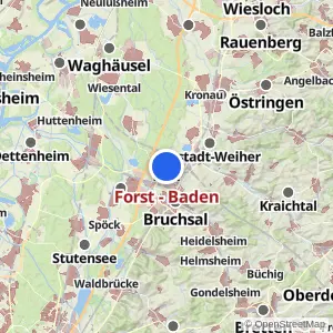 Kartenvorschau Forst - Baden