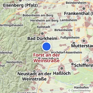 Kartenvorschau Forst an der Weinstraße